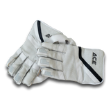 Wicket Keeping Gloves