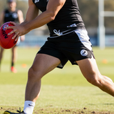 Cummins Ramblers Training Shorts