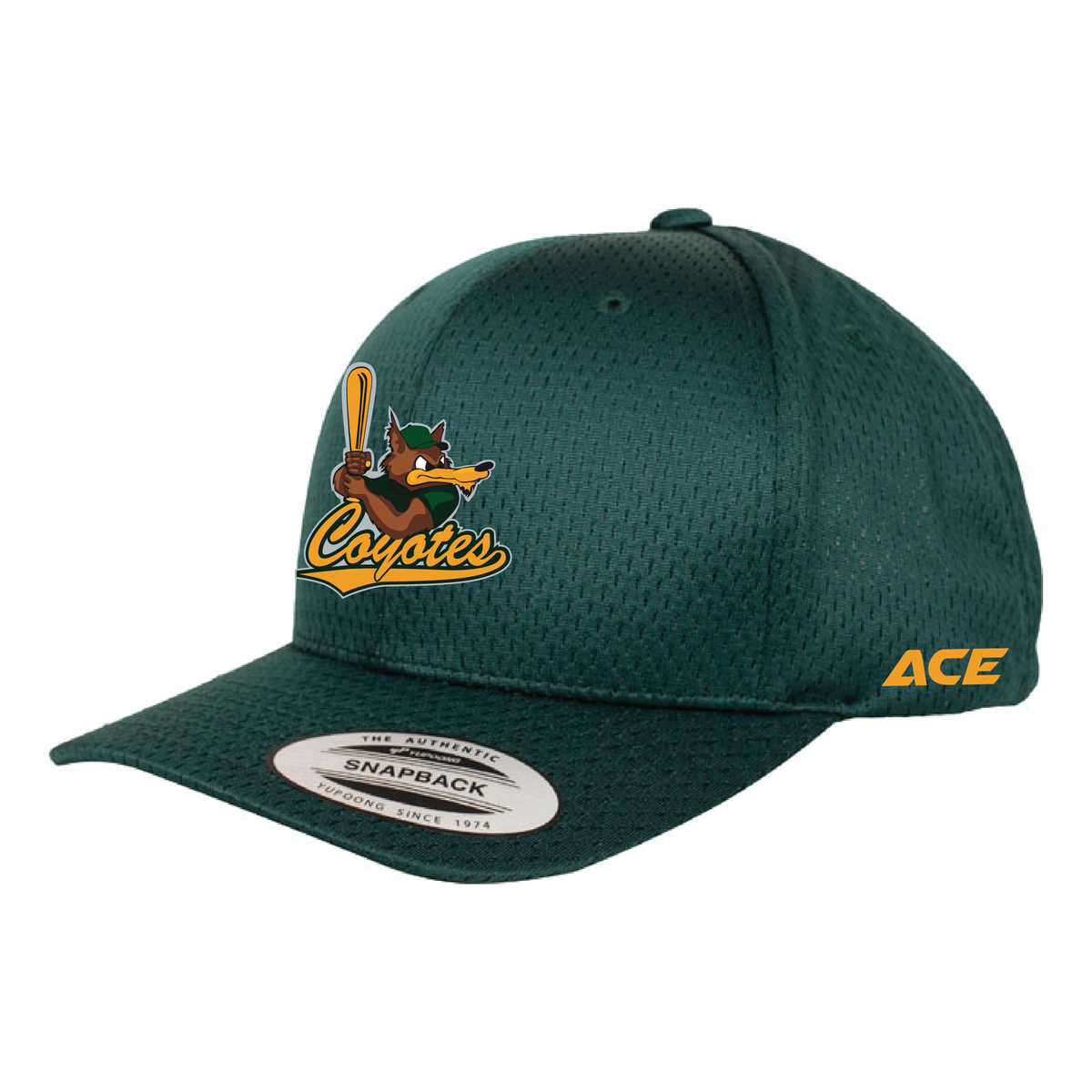 Coyotes BC Cap