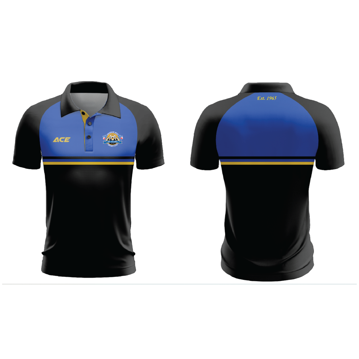 Salisbury West CC 60 Years Polo