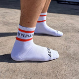 TISC Socks